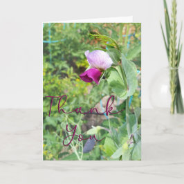 Lila Pea Blume Foto Dankeschön Karte