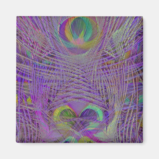 Lila Peacock Feathers-Magnete Magnet (Vorne)