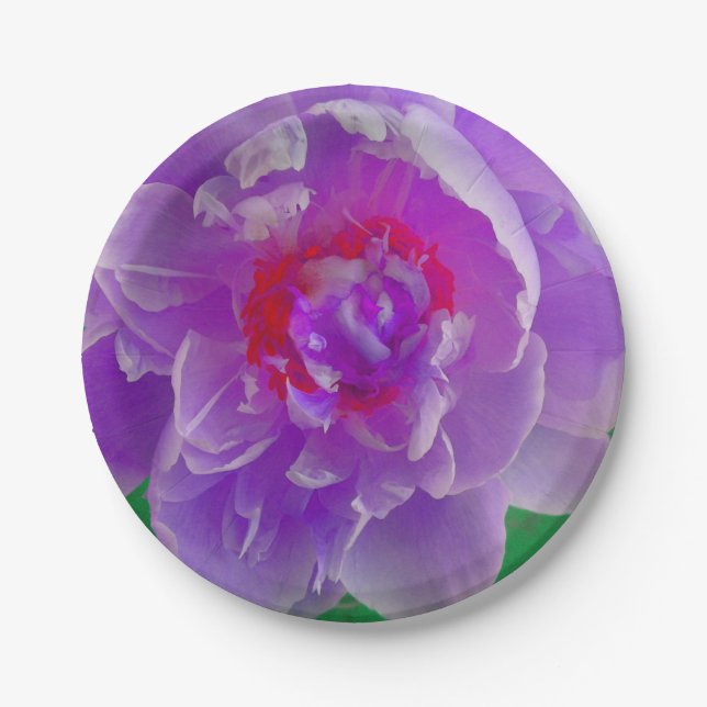 Lila Peony Plate Pappteller (Vorderseite)
