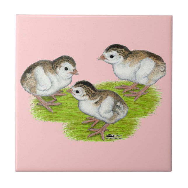Lila Perlhühnerküken Fliese (Vorderseite)