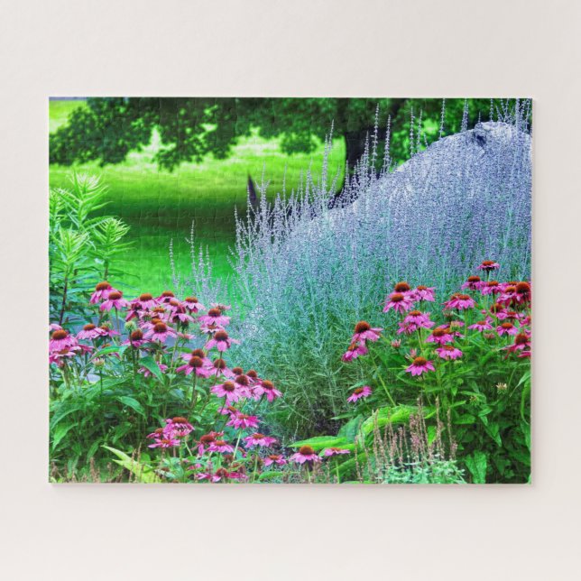 Lila Perovskia und Echinacea (Horizontal)