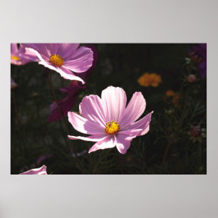 LILA PETALISCHE BLUME POSTER
