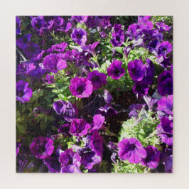 Lila Petunia-Blume