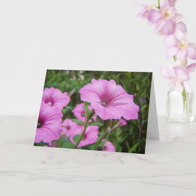 Lila Petunia-Blume und Grünfolien Karte (Orchidee)