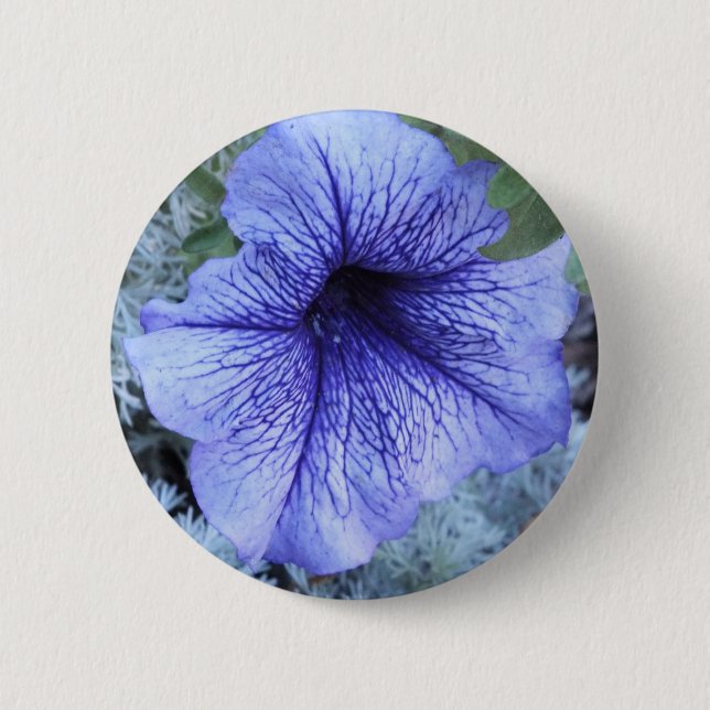 Lila Petunia Button (Vorderseite)