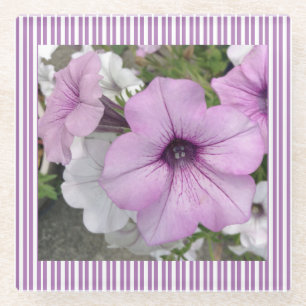 Lila Petunia Floral Fotografie Glasuntersetzer