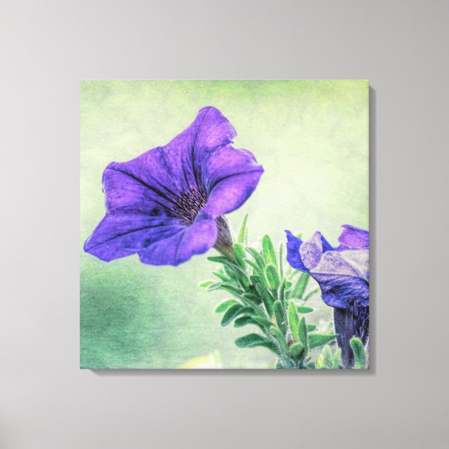 Lila Petunia Leinwand Kunst, Dichtung und Musik (Vorderseite)