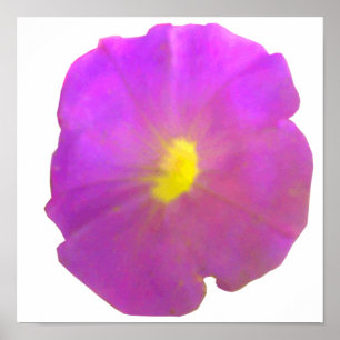 Lila Petunia Poster