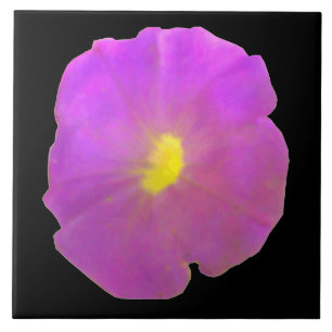 Lila Petunia Tile Fliese