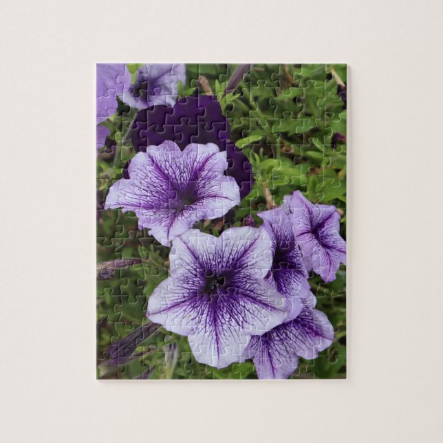 Lila Petunias (Vertikal)