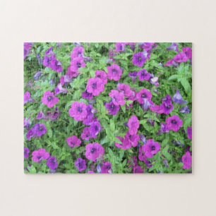 Lila Petunias Puzzle