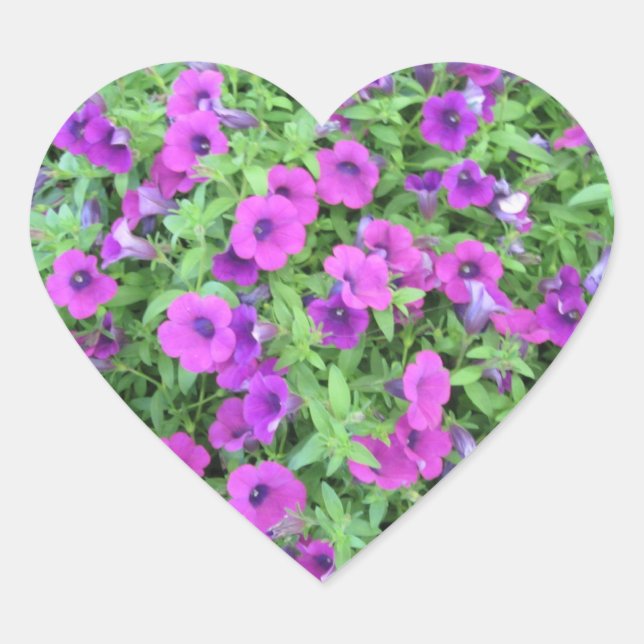 Lila Petunias Stickers - Set von 20 (Vorderseite)