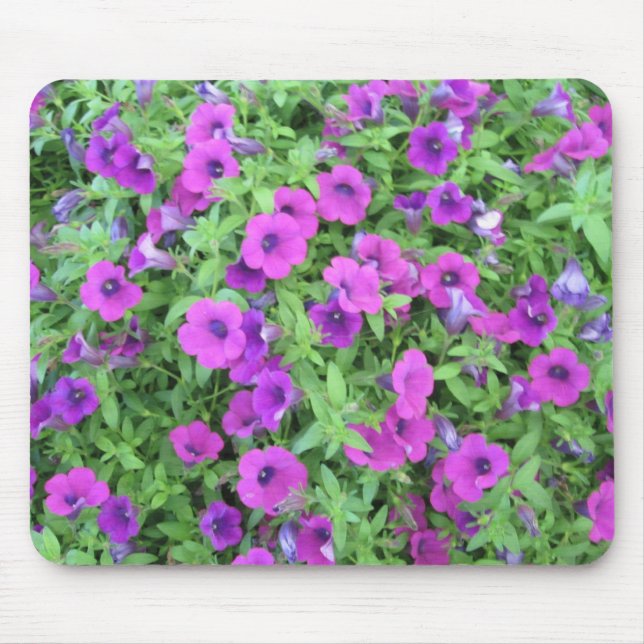 Lila Petunien Mousepad (Vorne)