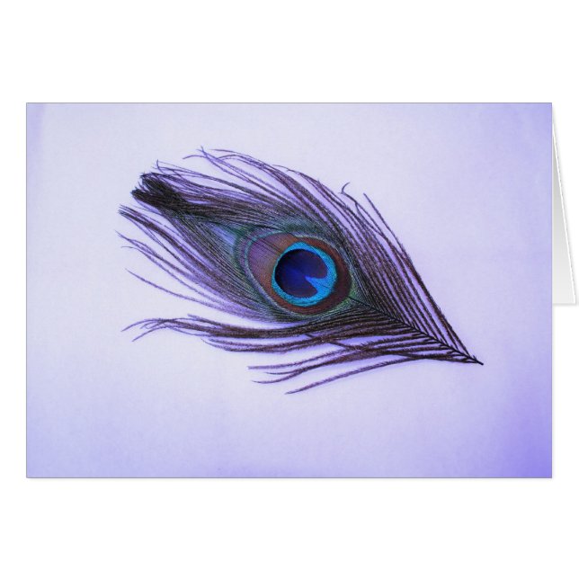 Lila Pfau-Feder (Vorderseite (Horizontal))