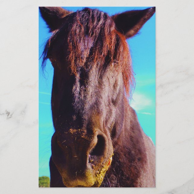 Lila Pferd mit grünem Mund (Vorderseite)