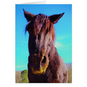 Lila Pferd mit grünem Mund