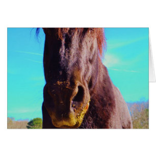 Lila Pferd mit grünem Mund