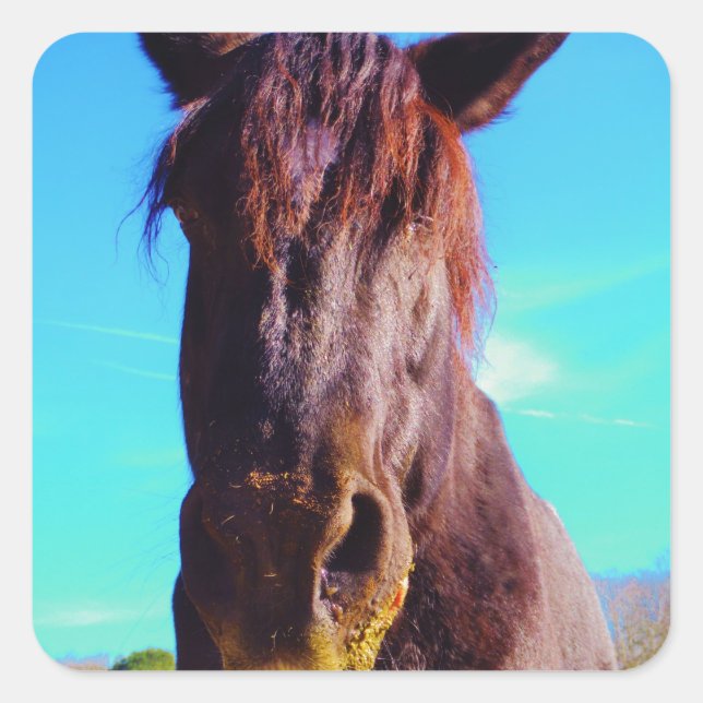 Lila Pferd mit grünem Mund Quadratischer Aufkleber (Vorderseite)
