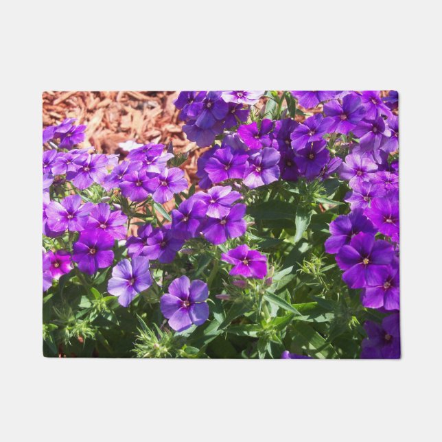 Lila Phlox-Blume auf einer Türmatte (Vorderseite)