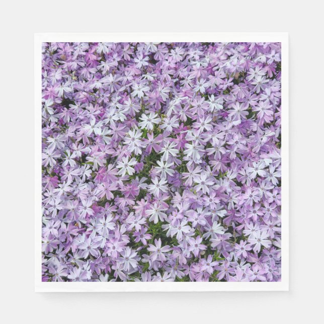 Lila Phlox-Blume Serviette (Vorderseite)