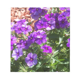 Lila Phlox-Blumen Notizblock