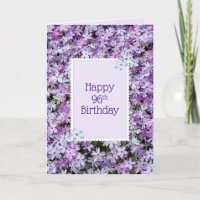 Lila Phlox zum 96. Geburtstag