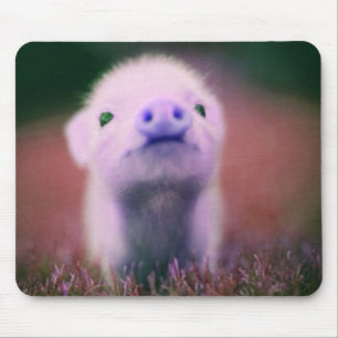 Lila Pigsy Mousepad