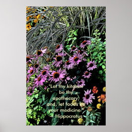 Lila Plakate