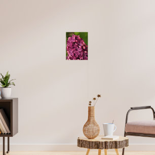Lila Poster