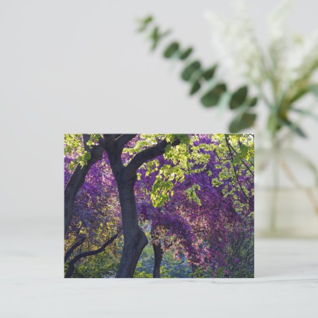 Lila  postkarte (Stehend Vorderseite)