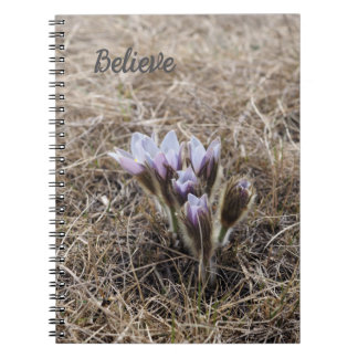 Lila Prairie-Krokusse Spiral-Notizbuch Notizblock