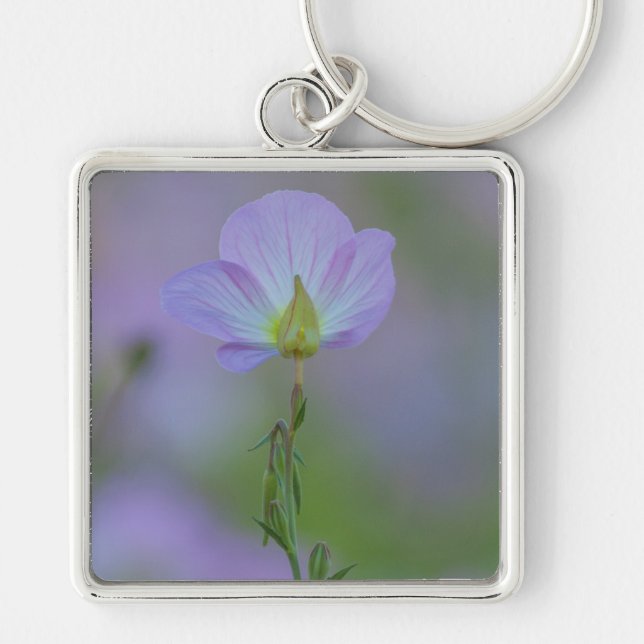 Lila Primrose Schlüsselanhänger (Vorne)
