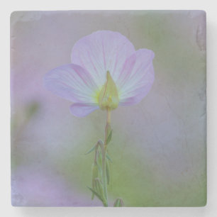 Lila Primrose Steinuntersetzer