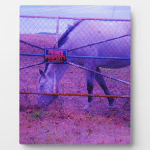 Lila Privateigentum - Pferd Fotoplatte