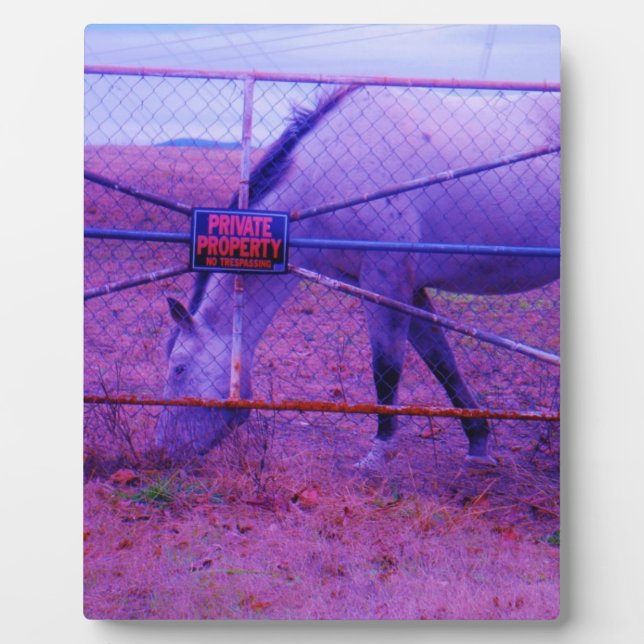 Lila Privateigentum - Pferd Fotoplatte (Vorderseite)