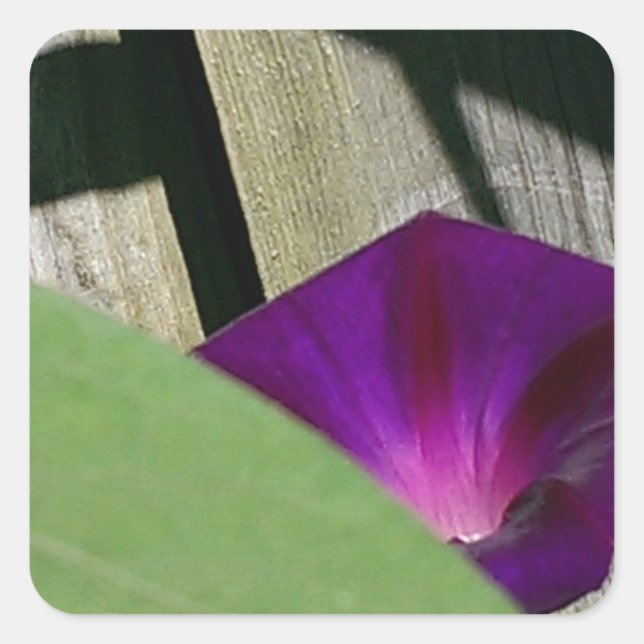 Lila Quadratischer Aufkleber (Vorderseite)