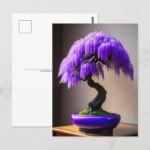Lila Rain Wisteria Bonsai, Postüberquerung