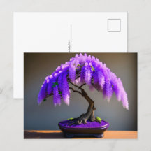 Lila Rain Wisteria Bonsai, Postüberquerung