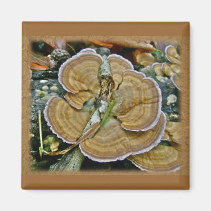 Lila Randlage Fungus Coordinated Items Magnet