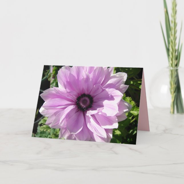 Lila Rannunculus Spring Blume Blumenkarte Karte (Vorderseite)