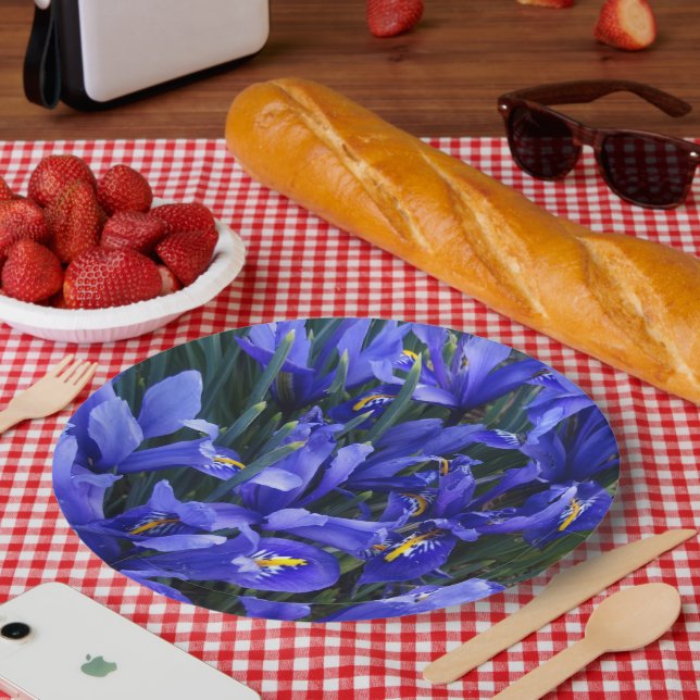 Lila Reticulated Irises Floral Pappteller (Picknick)