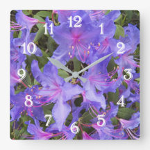 Lila Rhododendron Blooms Bloral