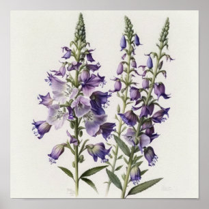 Lila Rittersporn-Blumen-Kunstposter Poster