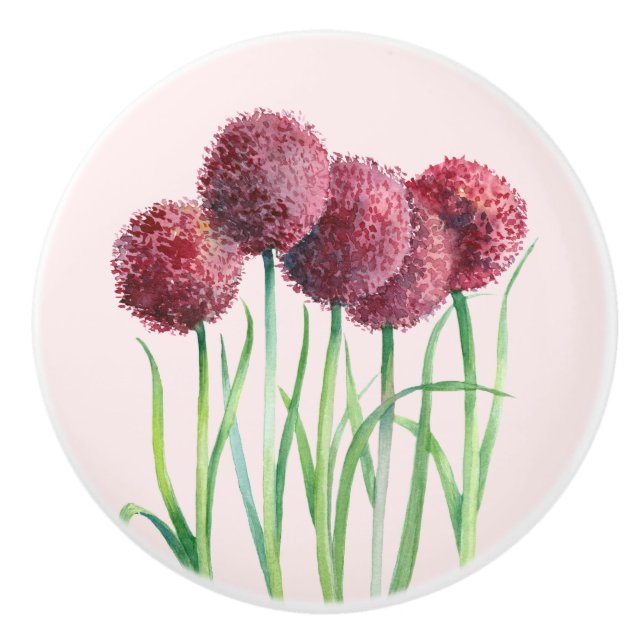 Lila Rosa Allium Blume Aquarellbilder Keramikknauf (Vorderseite)