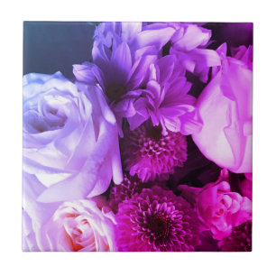 Lila, rosa Blume der Blumenflotte, fett Fliese