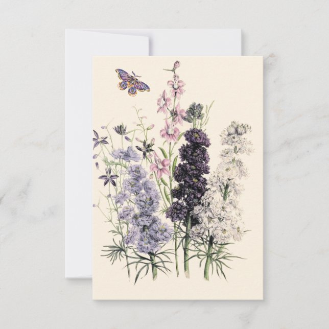 Lila, Rosa-Garten-Blume, Schmetterling Karte (Vorderseite)
