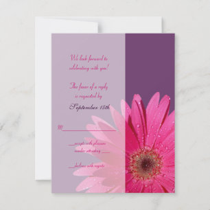 Lila & Rosa Gerbera-Daisy-Hochzeits-Antwortkarte RSVP Karte