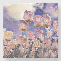 Lila, rosa und orange Tulpen