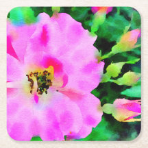 Lila rosa Wasserfarbe Sommerfarbe Rose