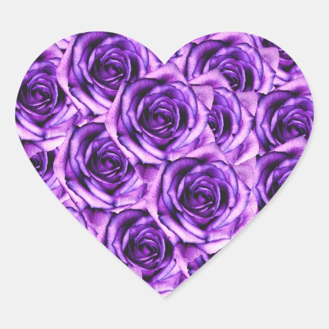 Lila Rose Herzsticker Herz-Aufkleber (Vorderseite)